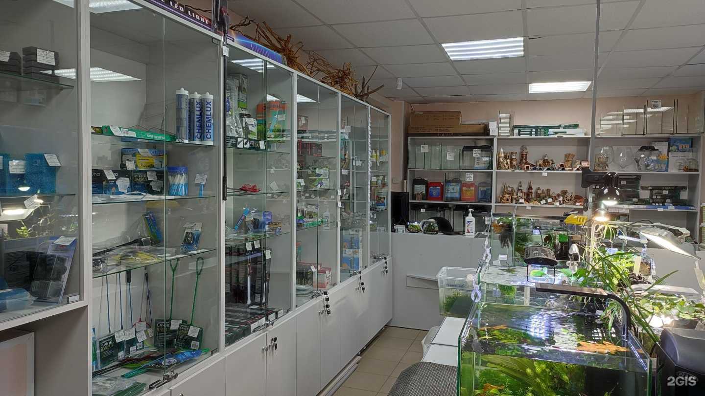 Отзывы на компанию Аквалюбитель в г. Великий Новгород c фото