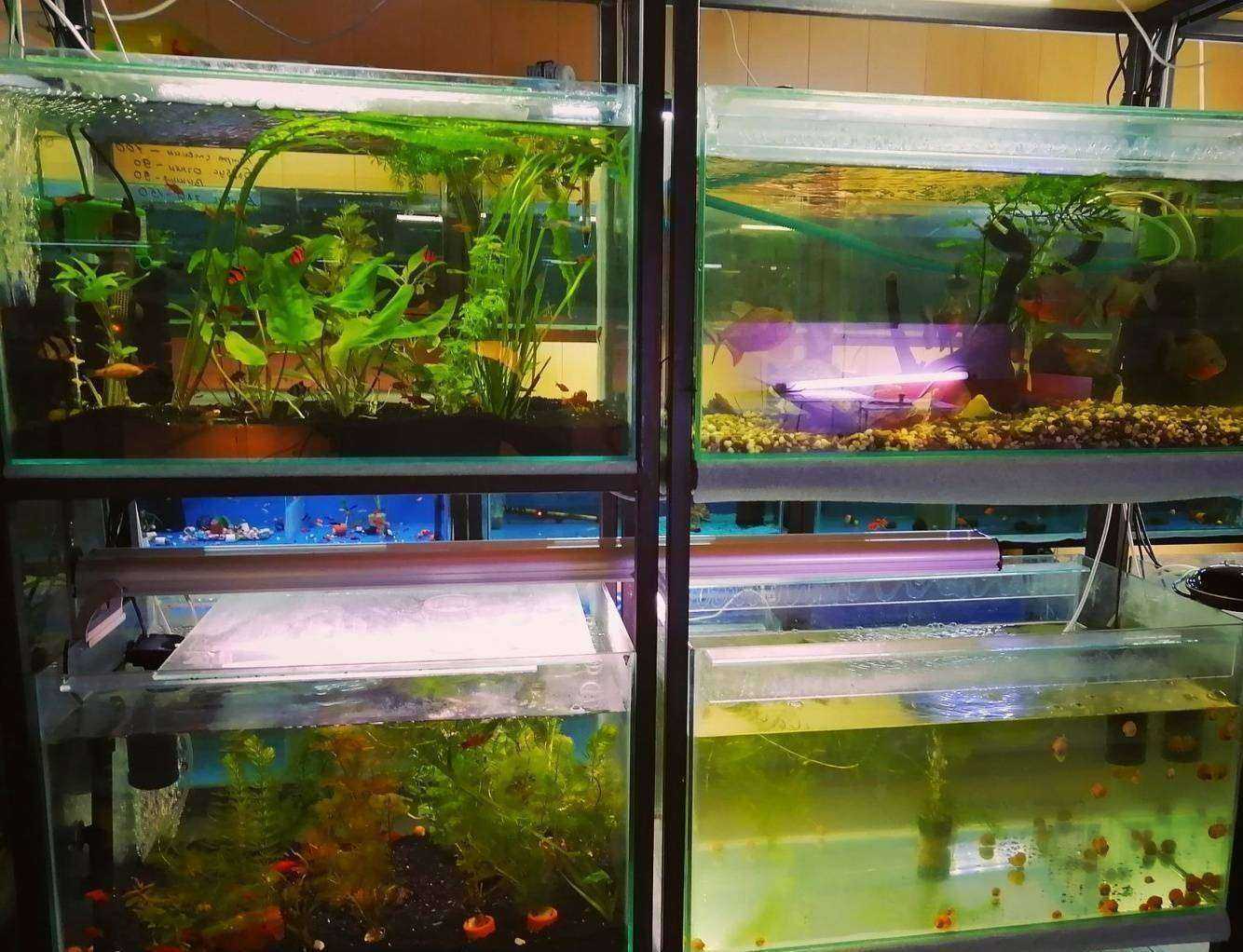 Отзывы на компанию Зоосад в Кисловодске c фото