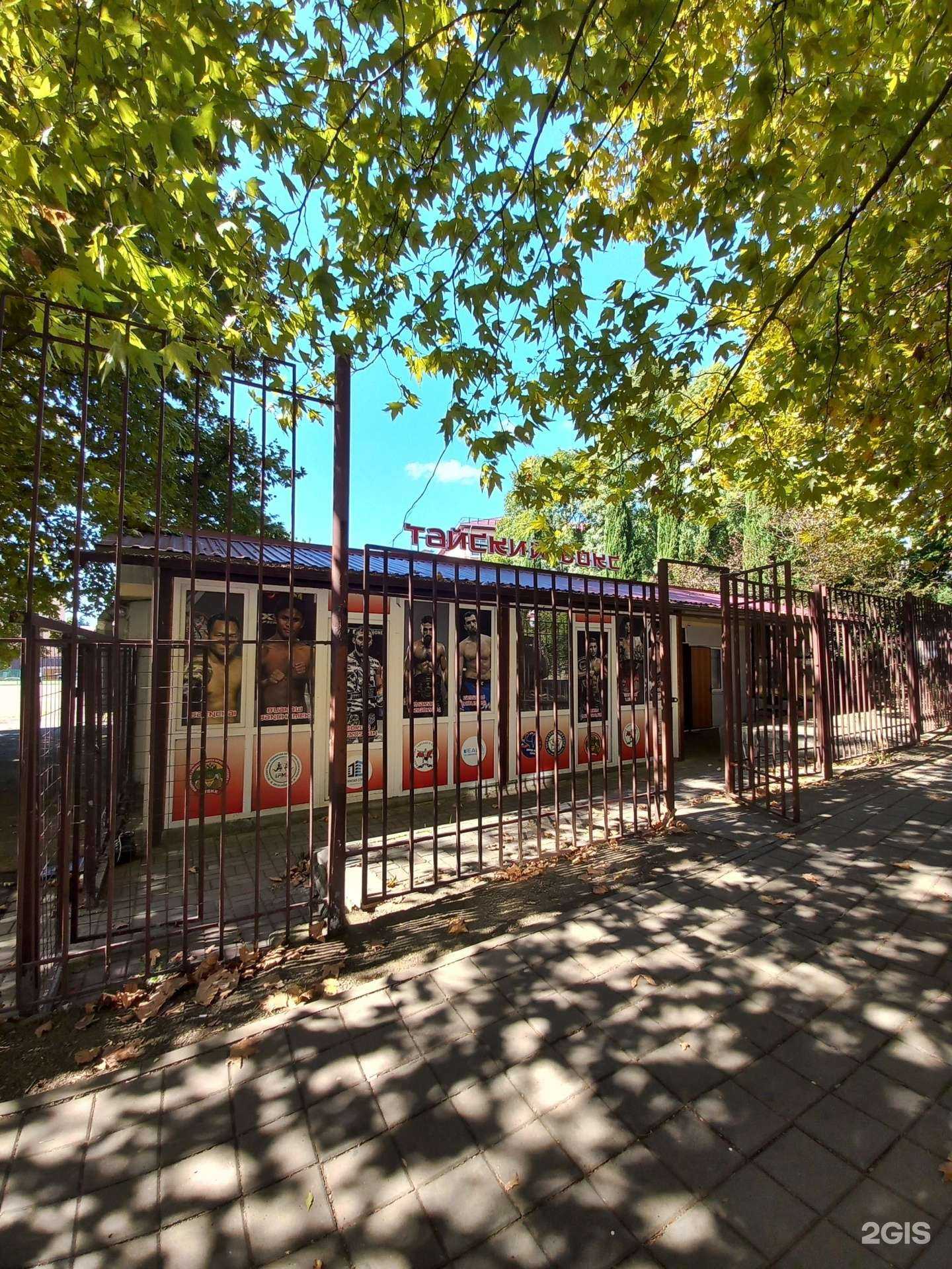 Отзывы на компанию Школа тайского бокса в Сочи c фото