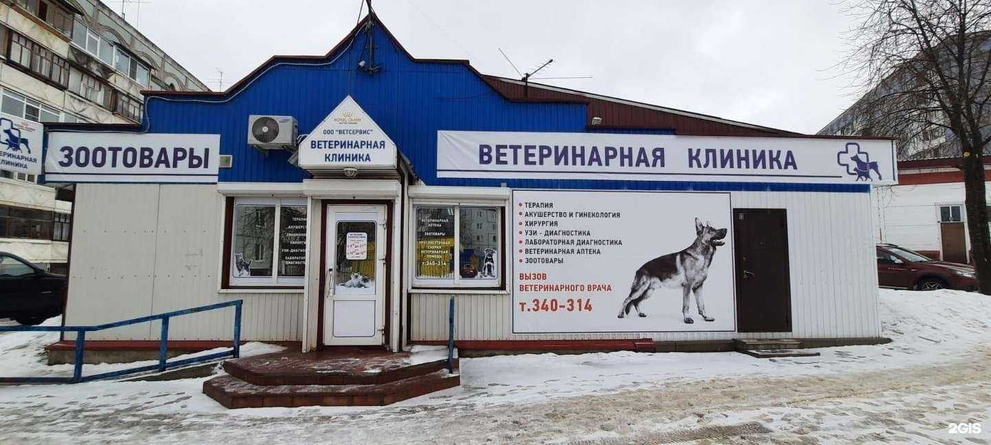 Отзывы на компанию Ветсервис в Сыктывкаре c фото