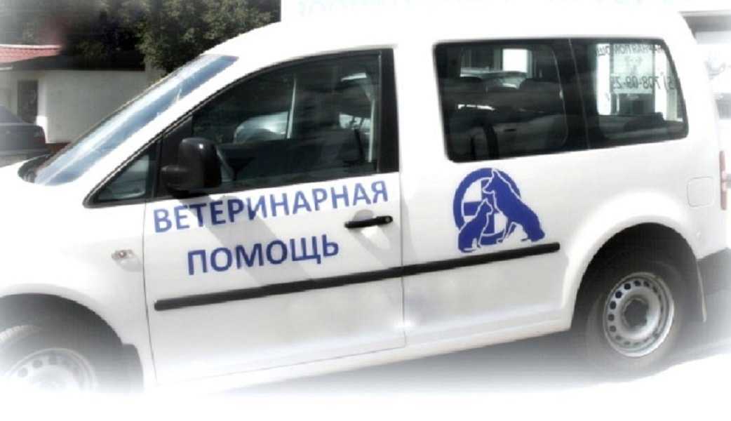 Отзывы на компанию ВЕТ НЕОТЛОЖКА в г. Нижний Новгород c фото