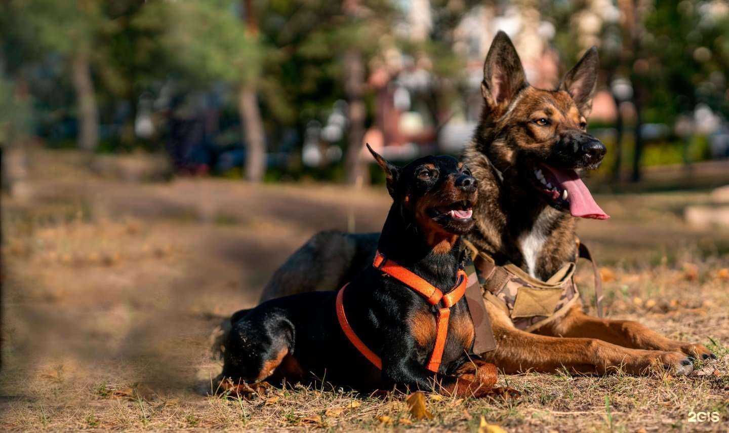 Отзывы на компанию Batman food в г. Челябинск c фото