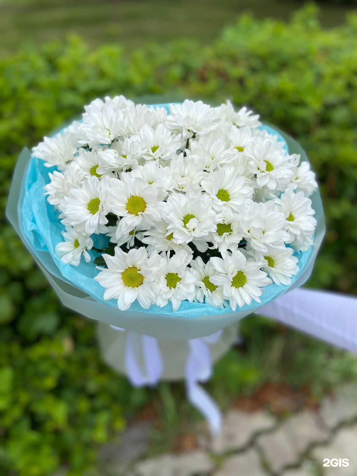 Отзывы на компанию Первоцвет в г. Набережные Челны c фото