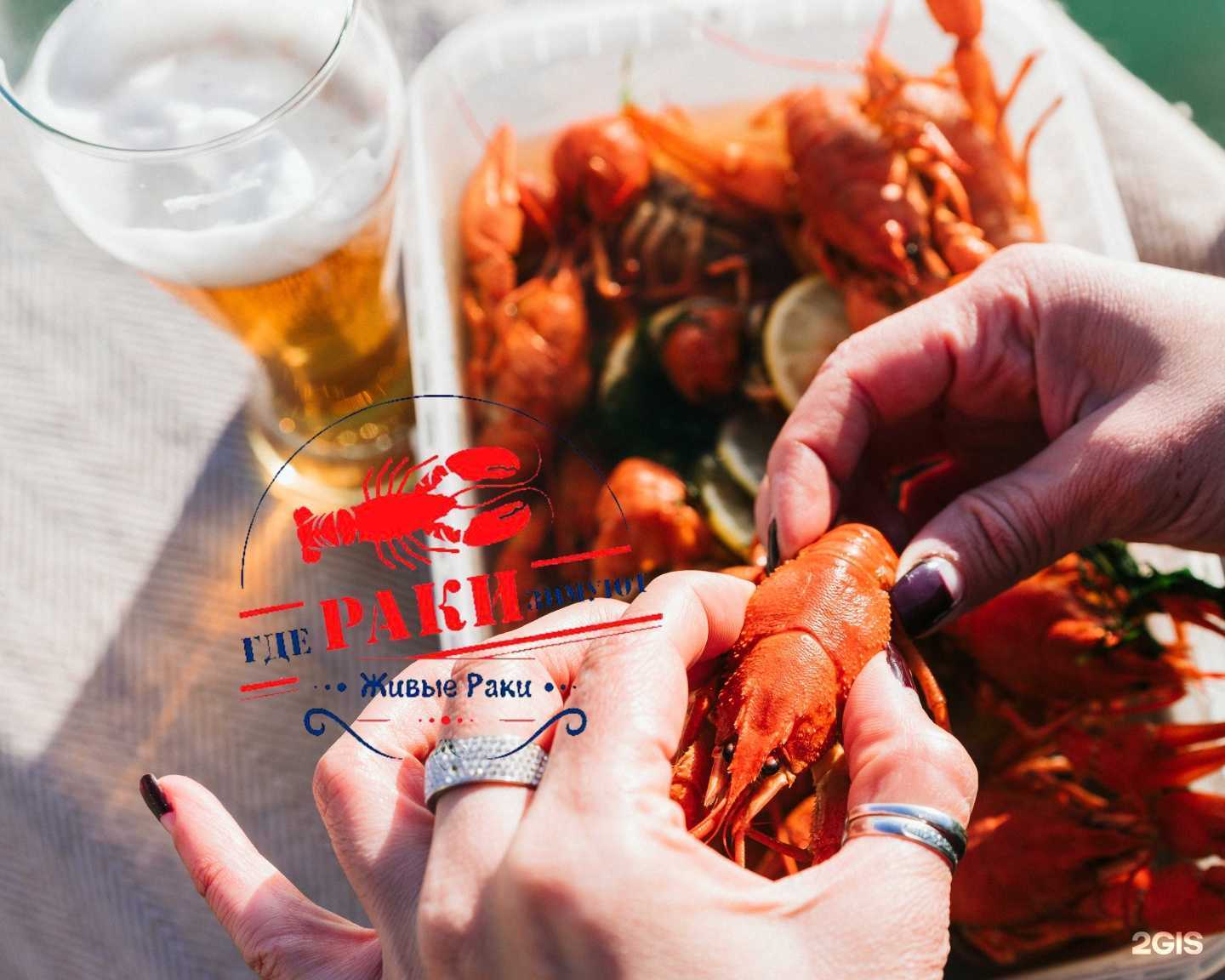 Отзывы на компанию Где раки зимуют в Сочи c фото