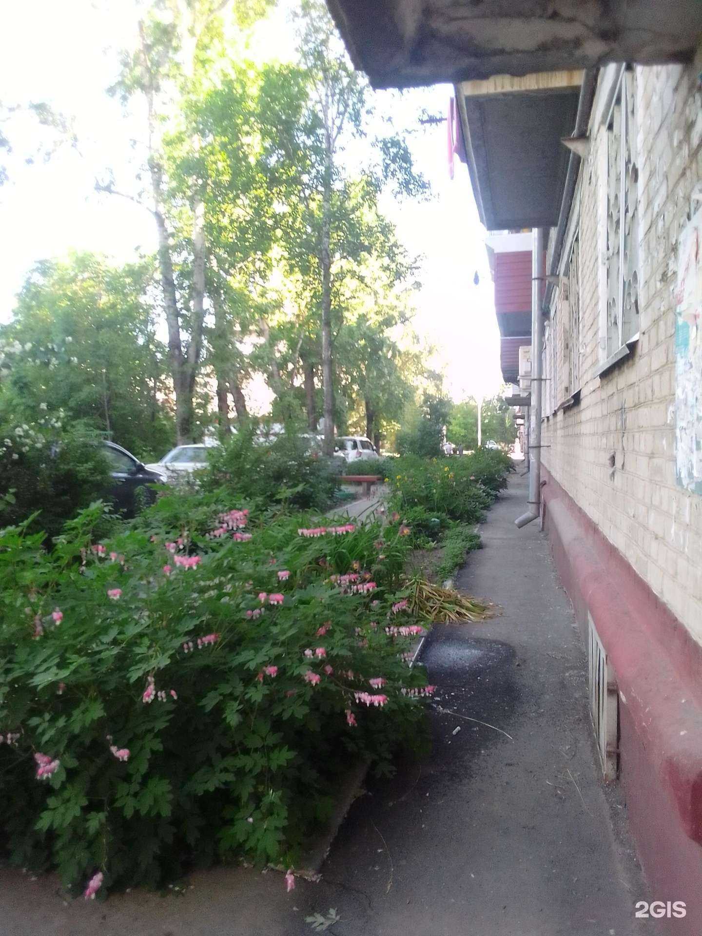 Отзывы на компанию ТвояАптека.рф в Хабаровске c фото - фотография 2 из 2