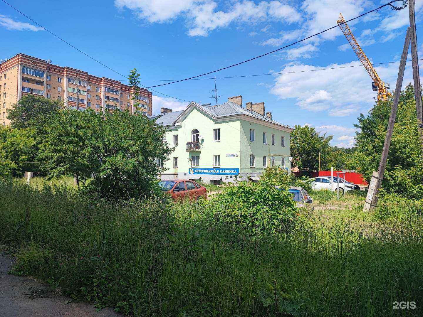 Отзывы на компанию Рыжий Кот в Ижевске c фото - фотография 2 из 2