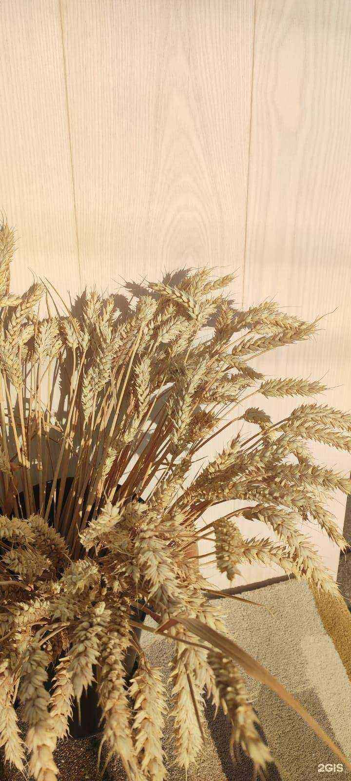 Отзывы на компанию 2r.design в Калининграде c фото