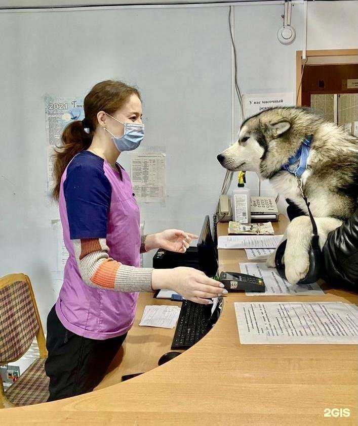 Отзывы на компанию Управление ветеринарии г. Якутска в Якутске c фото