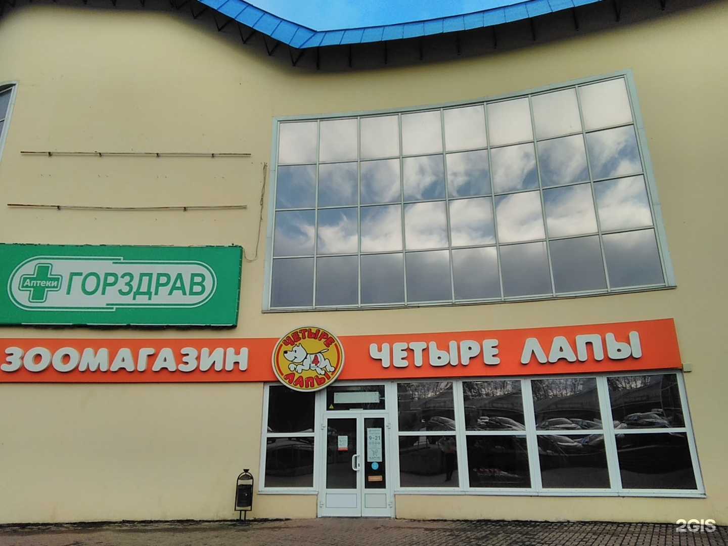 Отзывы на компанию Четыре лапы в Клине c фото