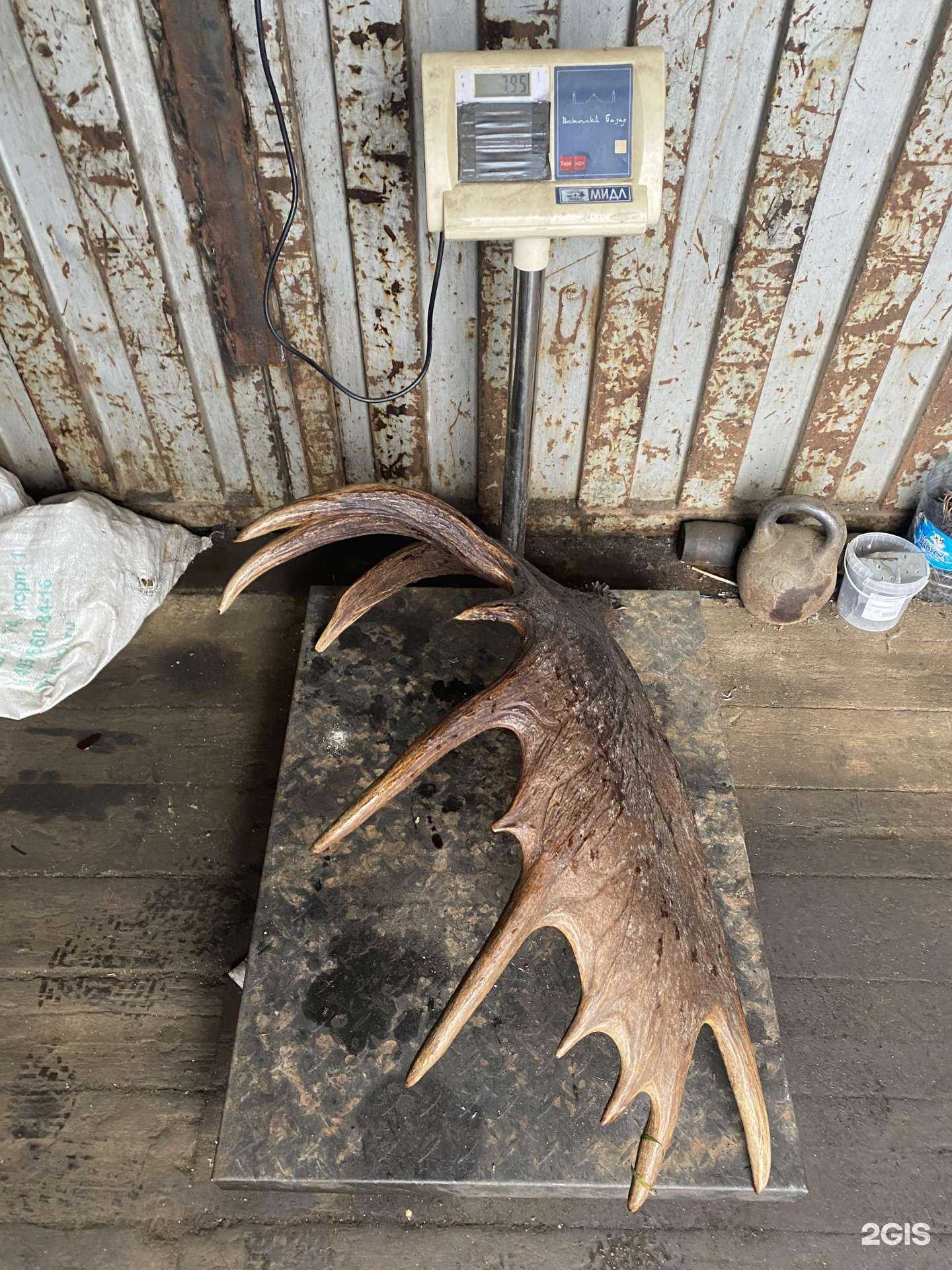 Отзывы на компанию Стальцвет 35 в Вологде c фото