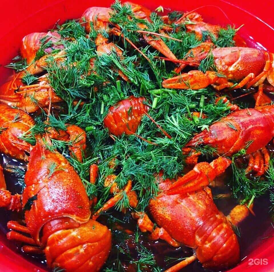 Отзывы на компанию Раковарня в Геленджике c фото