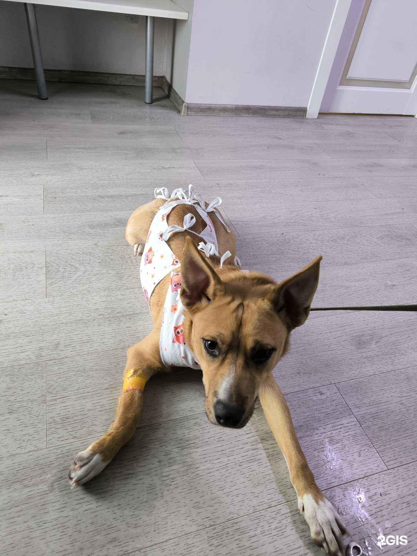 Отзывы на компанию Ав-ва в г. Омск c фото