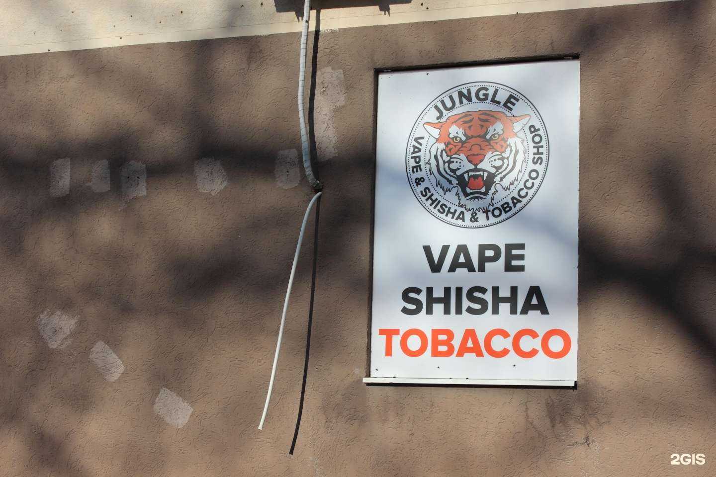 Отзывы на компанию Jungle в г. Анапа c фото