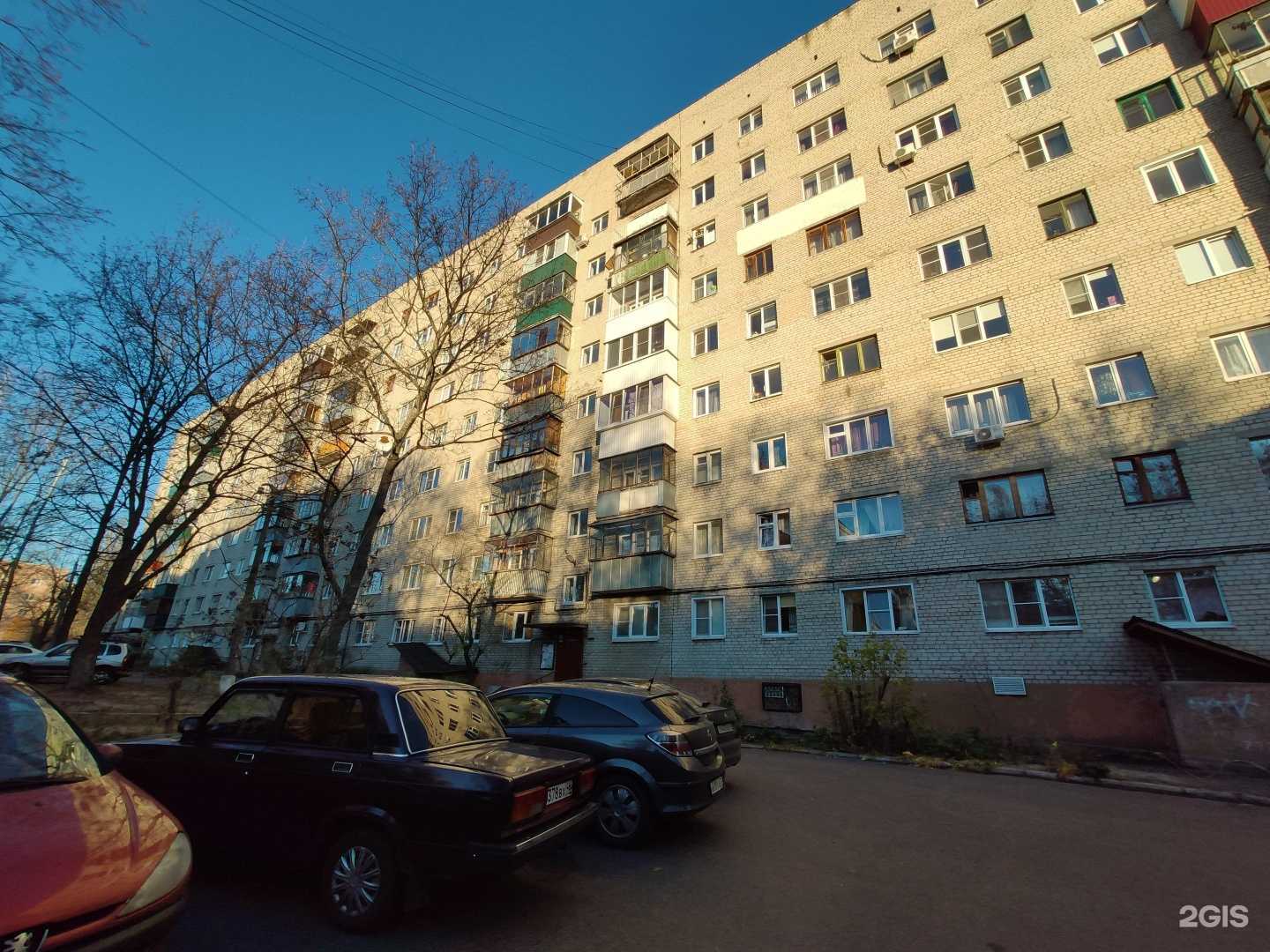 Отзывы на компанию Цветы без повода в Курске c фото - фотография 2 из 2