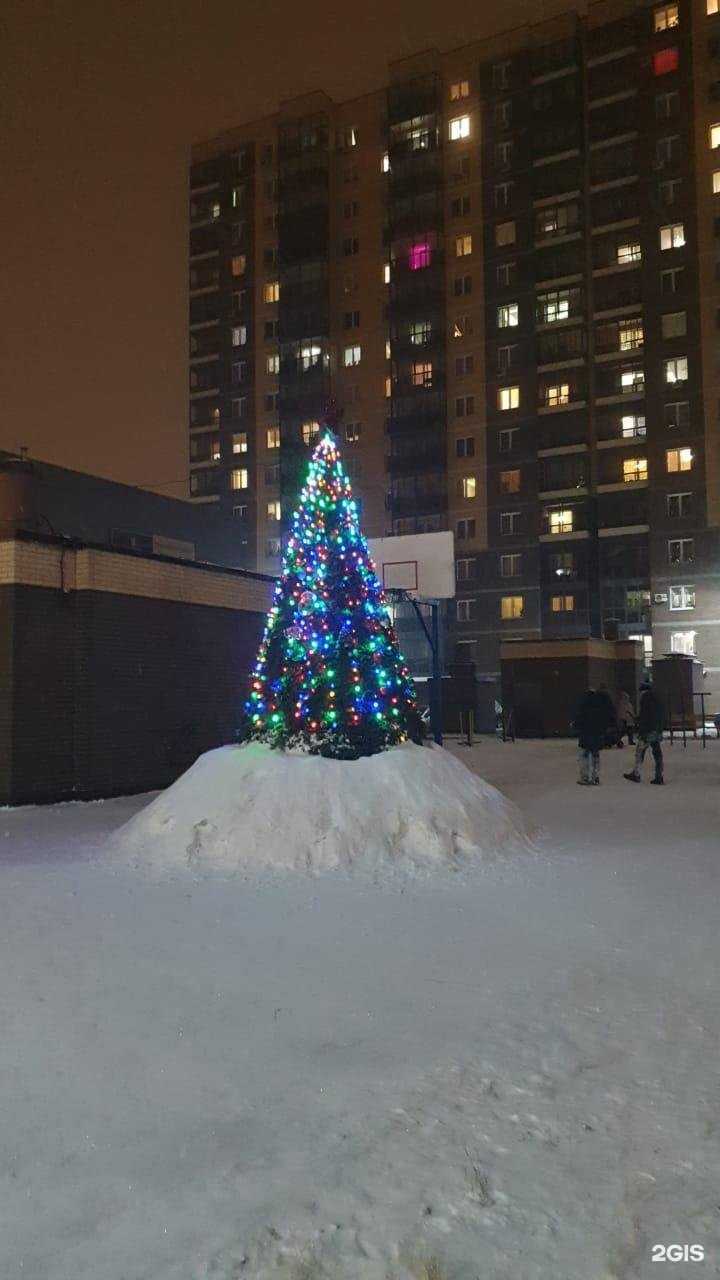 Отзывы на компанию Vitaccikids в Иркутске c фото - фотография 2 из 2