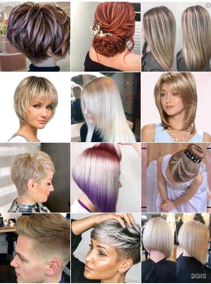 Отзывы на компанию Shans в г. Петропавловск-Камчатский c фото