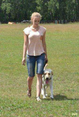 Отзывы на компанию Анкур в Челябинске c фото