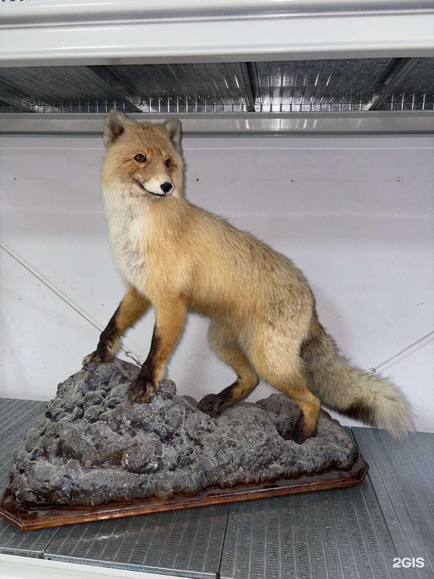 Отзывы на компанию Хантер в г. Тюмень c фото