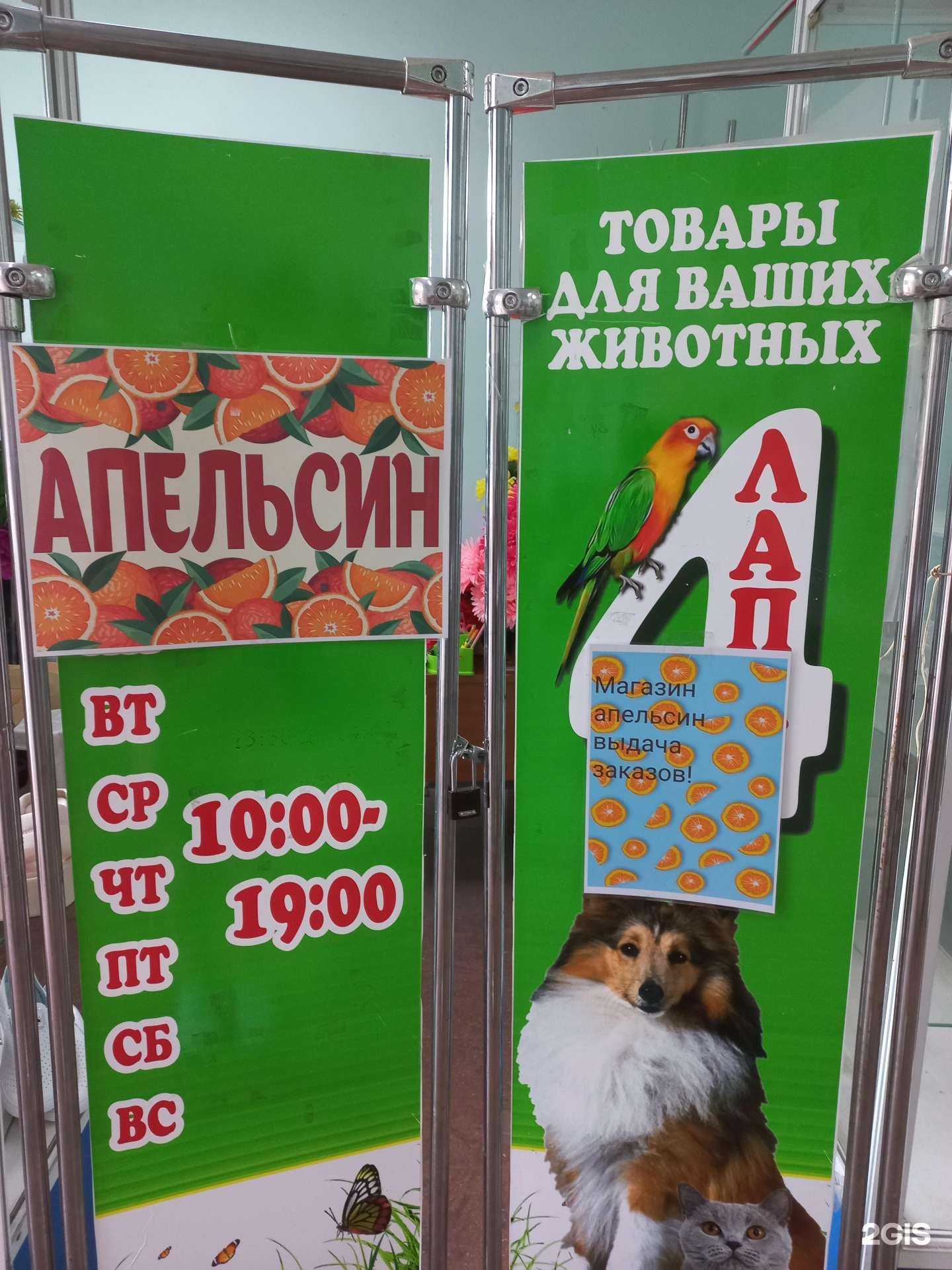 Отзывы на компанию Апельсин в г. Муром c фото