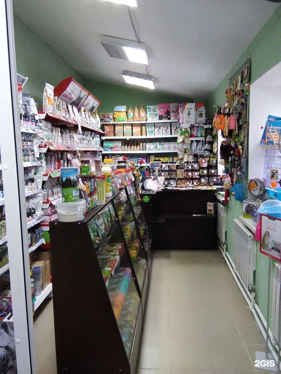 Отзывы на компанию Кот и Пёс в Иванове c фото