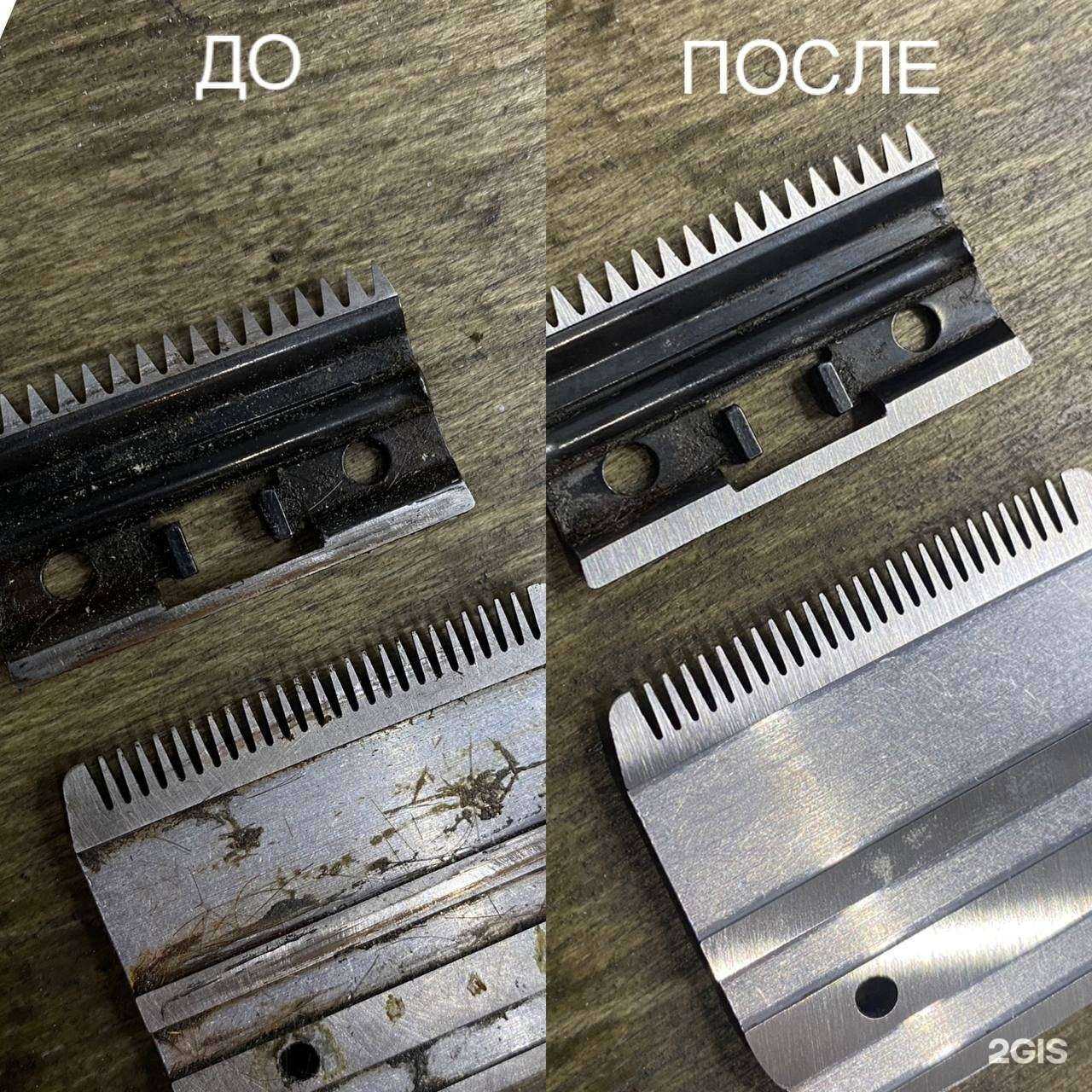 Отзывы на компанию Острее в Копейске c фото