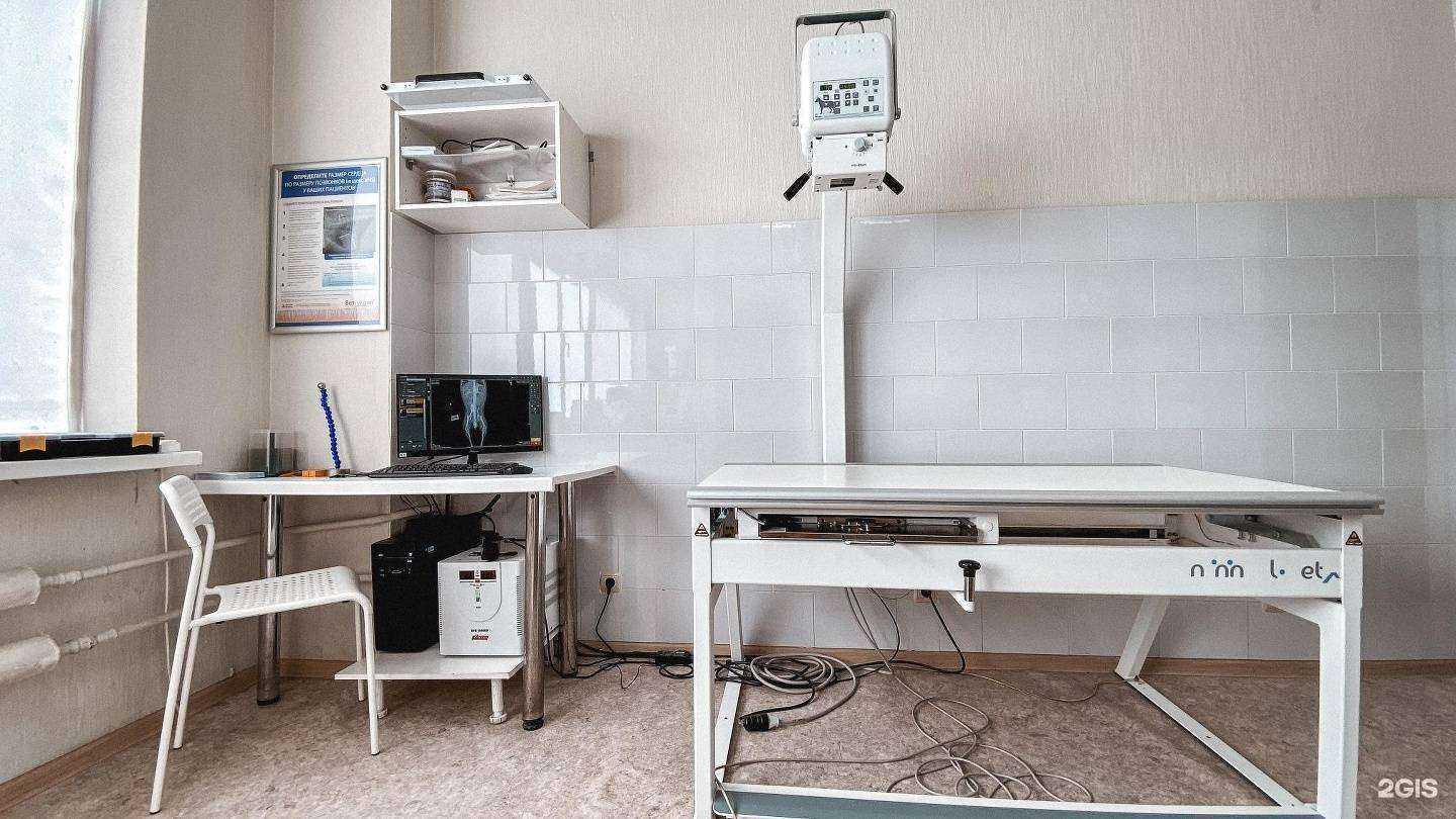 Отзывы на компанию Ветдоктор в Воронеже c фото