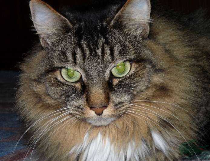 Отзывы на компанию ЗооУрал в Екатеринбурге c фото