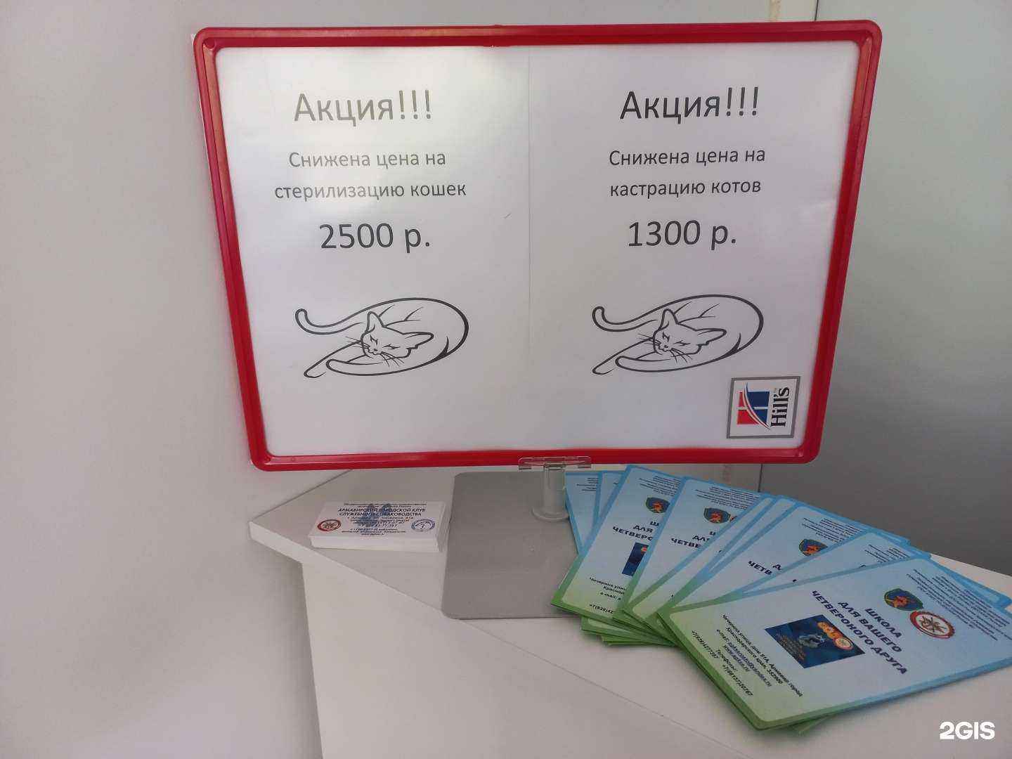 Отзывы на компанию Вета в г. Армавир c фото