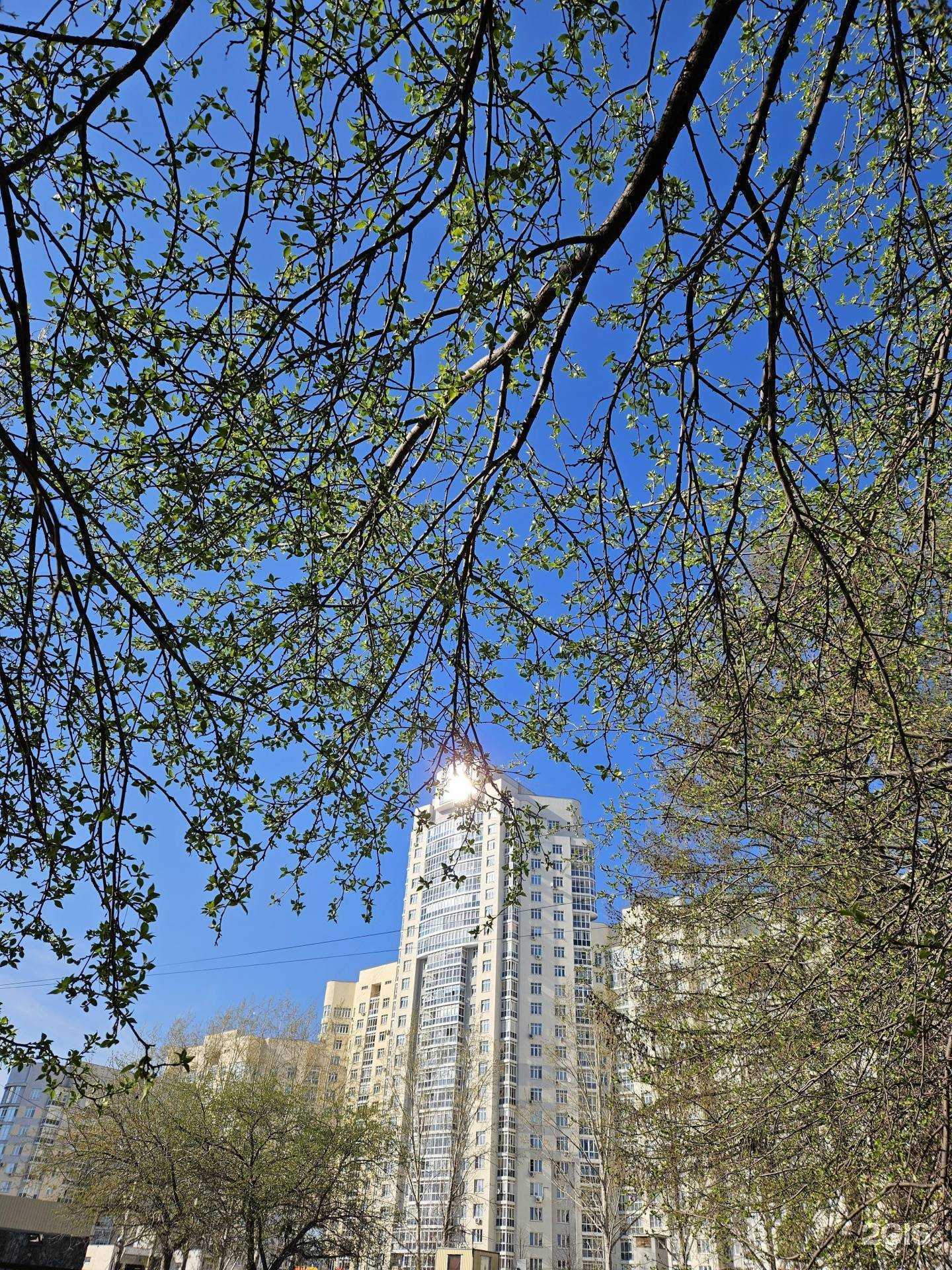 Отзывы на компанию Прибор96.рф в Екатеринбурге c фото - фотография 2 из 2