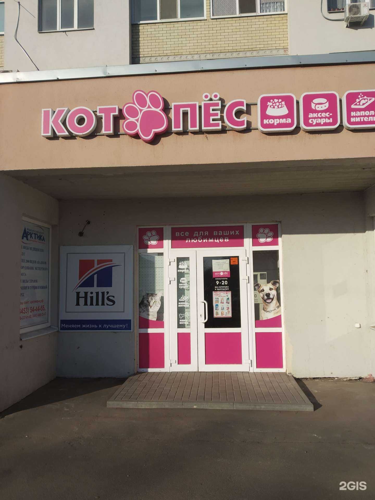 Отзывы на компанию Котопёс в г. Энгельс c фото