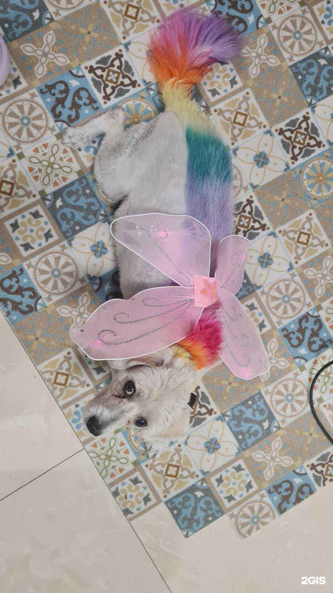 Отзывы на компанию Яфg в г. Тольятти c фото