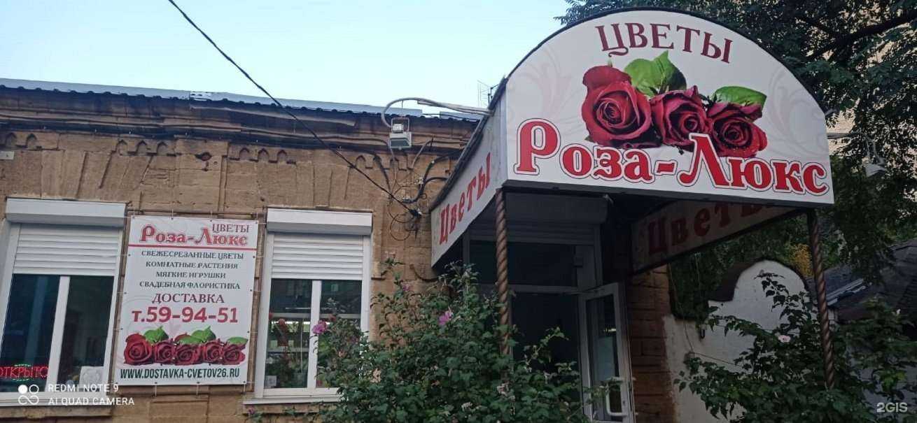 Отзывы на компанию РОЗА-ЛЮКС в Ставрополе c фото