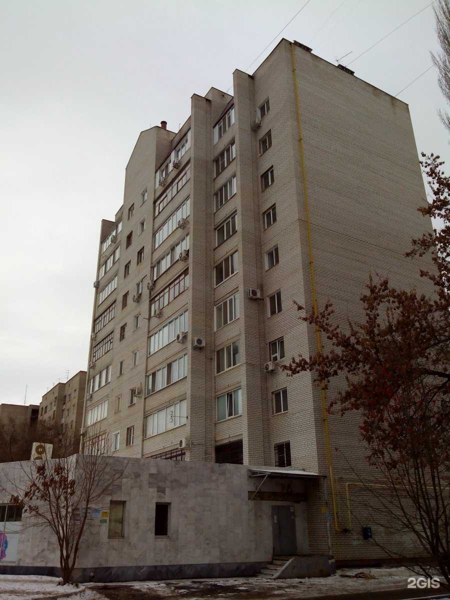 Отзывы на компанию ДендиГрум в Энгельсе c фото - фотография 2 из 2