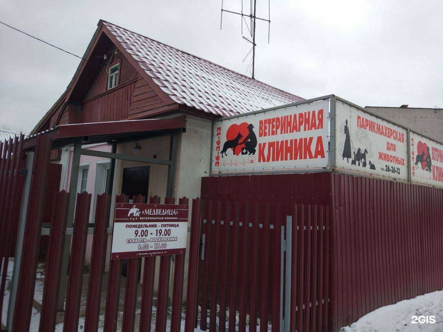 Отзывы на компанию Медведица в Иванове c фото - фотография 2 из 2