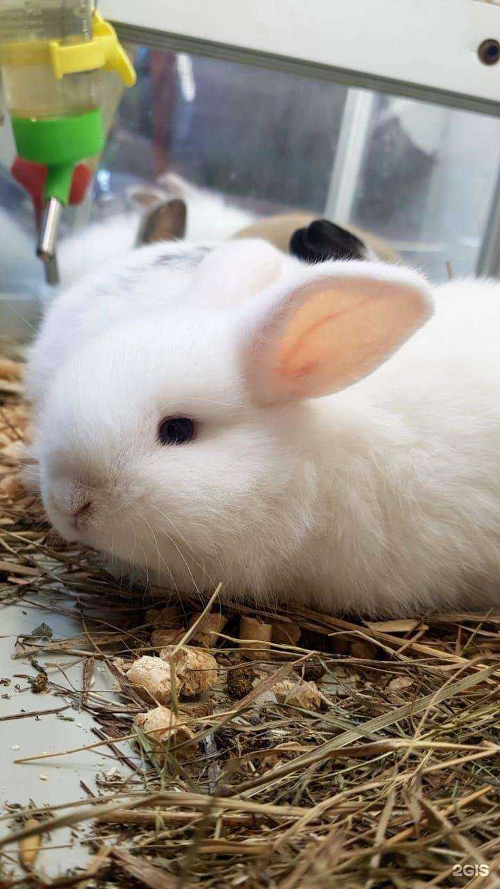 Отзывы на компанию Фишка в г. Петропавловск-Камчатский c фото