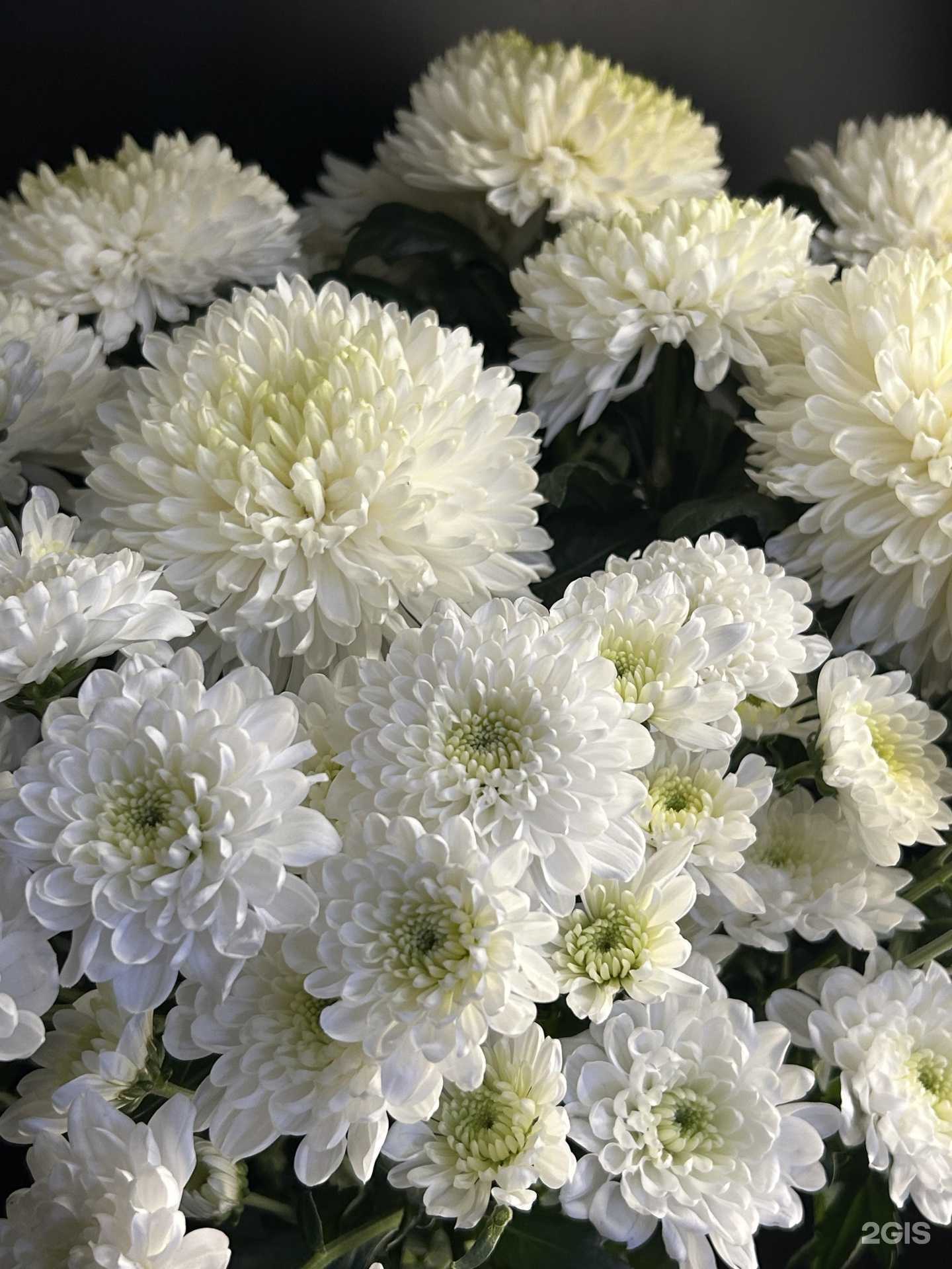 Отзывы на компанию Растим любовь в Калининграде c фото