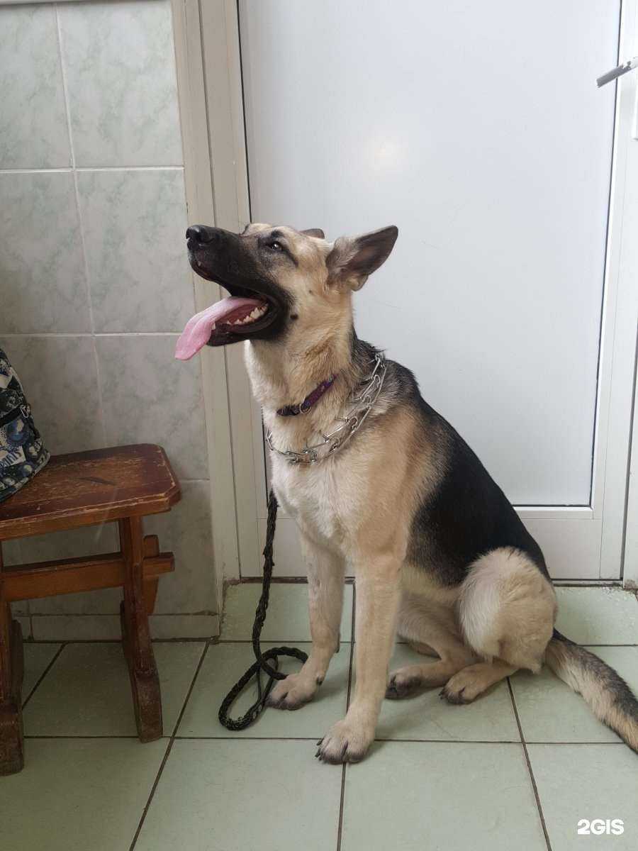 Отзывы на компанию Иркутский аграрный техникум в Иркутске c фото