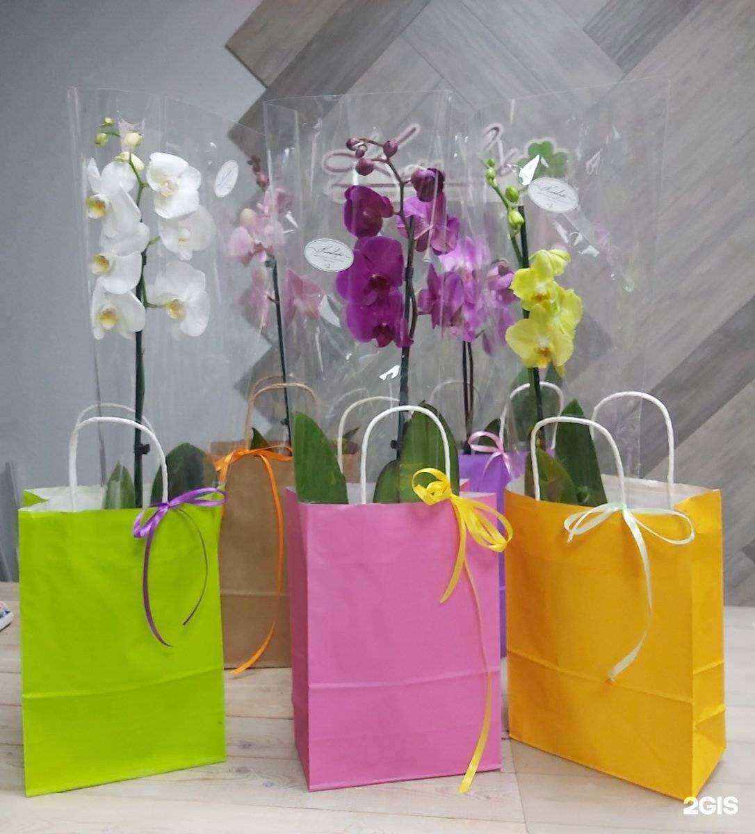 Отзывы на компанию Клевер в Абакане c фото