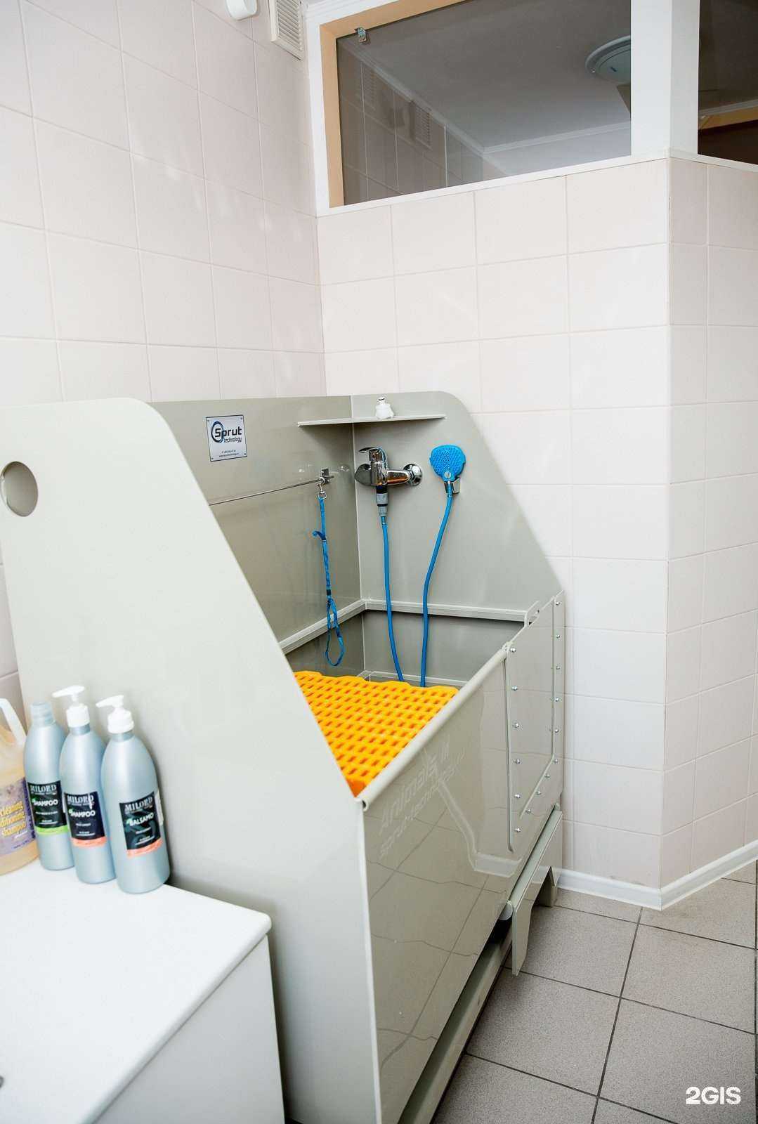 Отзывы на компанию Каштанка в г. Самара c фото