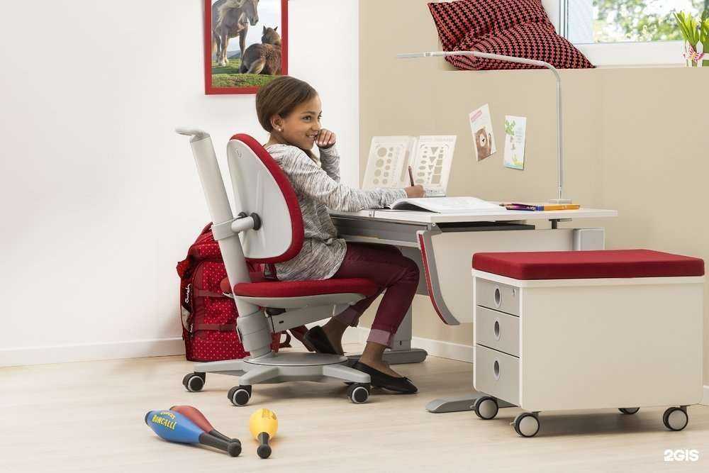 Отзывы на компанию Moll в Новосибирске c фото