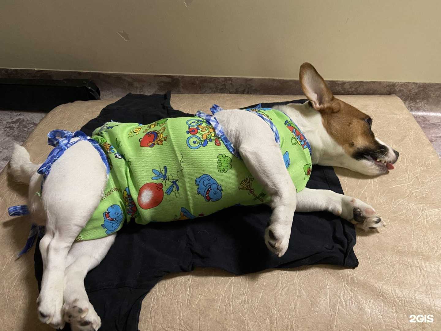 Отзывы на компанию Березовский отдел ветеринарии в Сосновоборске c фото