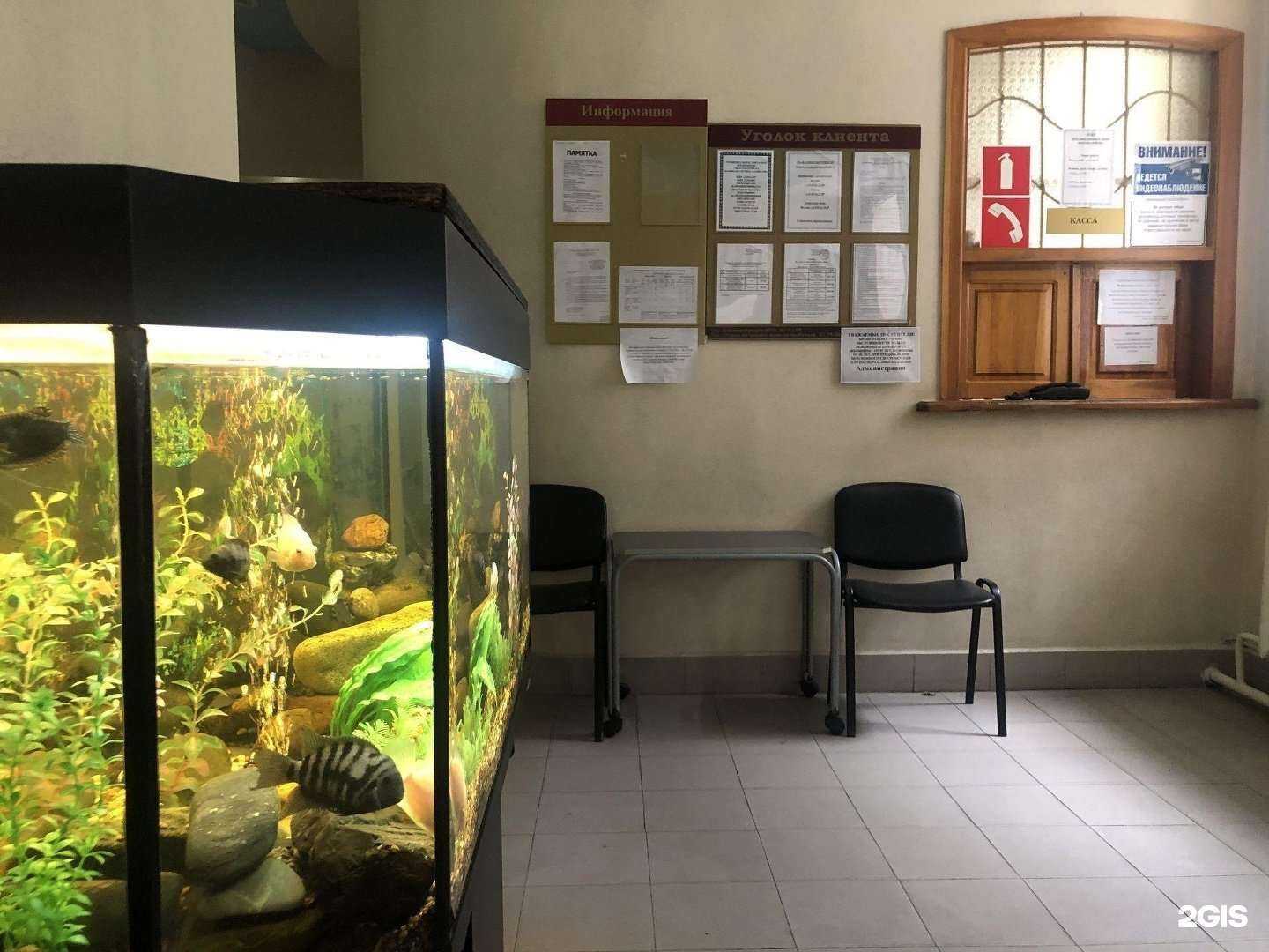 Отзывы на компанию Банно-прачечное хозяйство в г. Хабаровск c фото