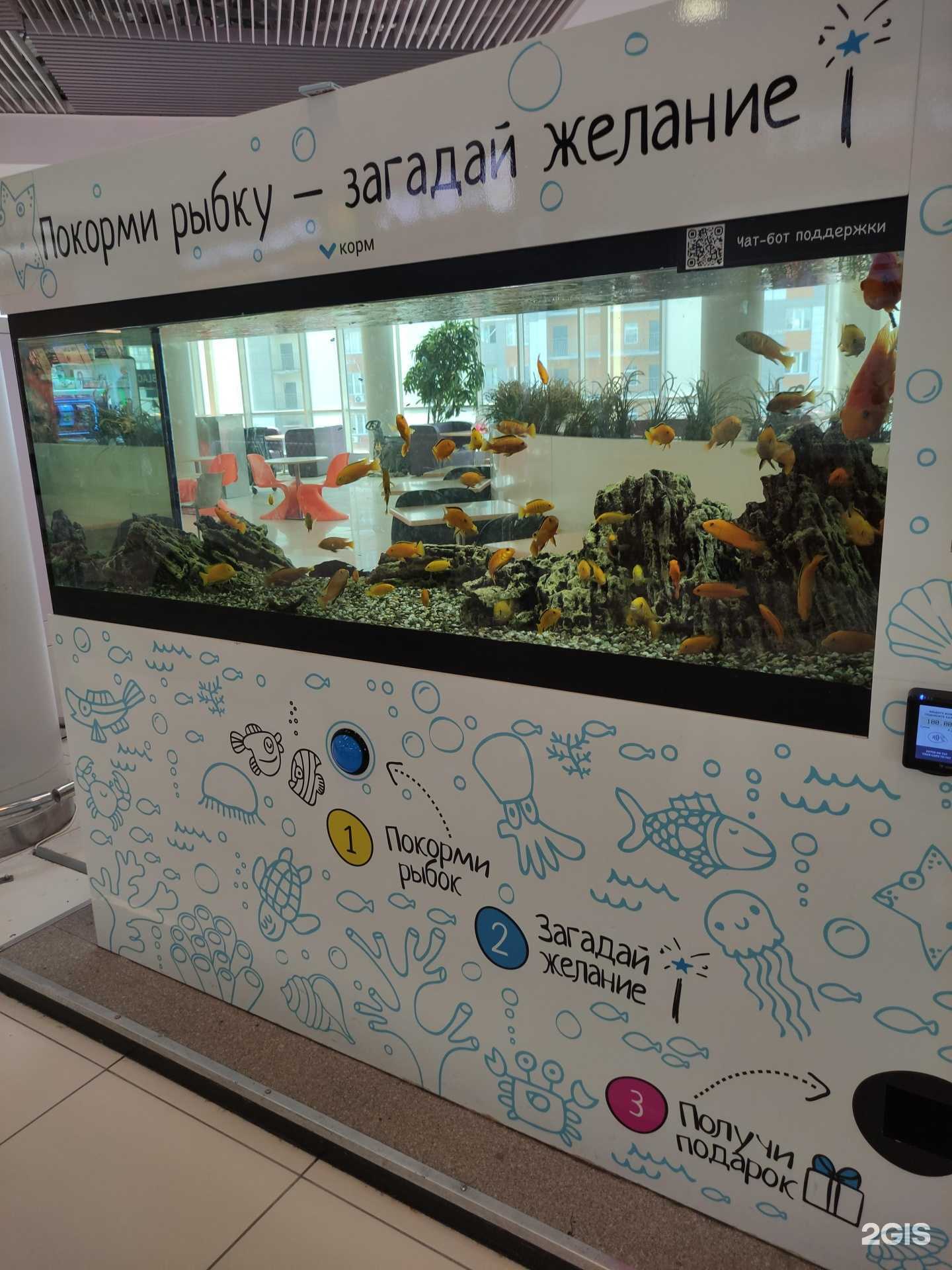 Отзывы на компанию Море желаний в Реутове c фото