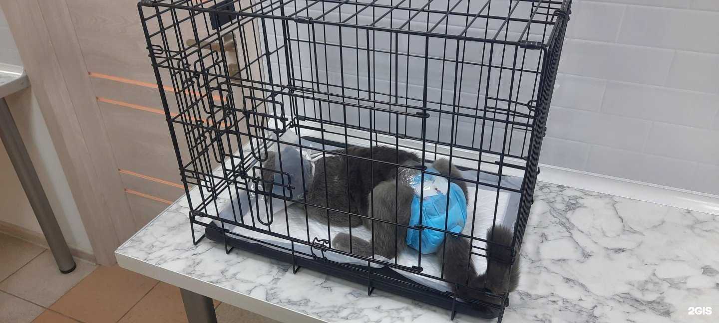 Отзывы на компанию На Московской в Краснодаре c фото