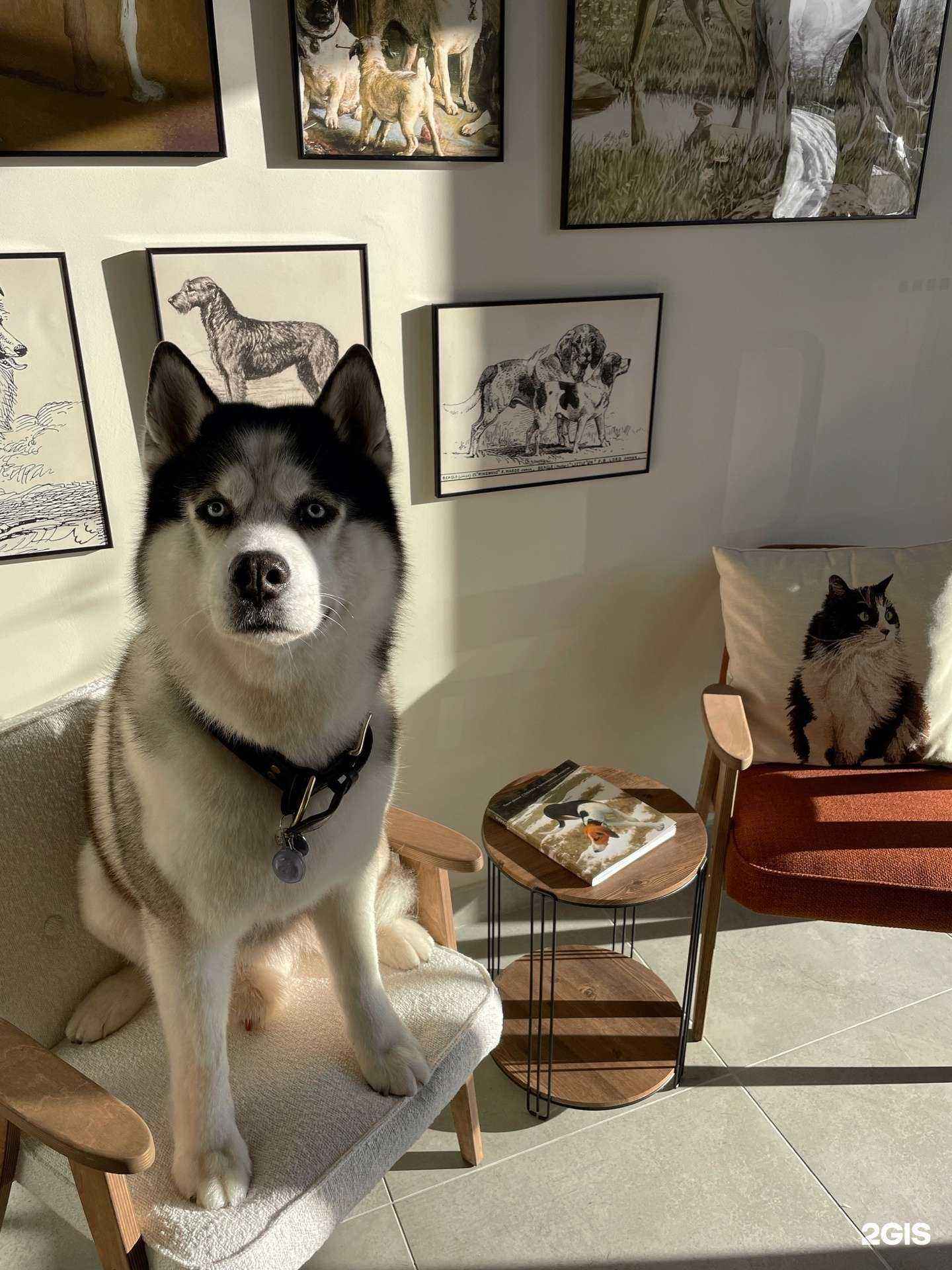 Отзывы на компанию Lodo в г. Петрозаводск c фото