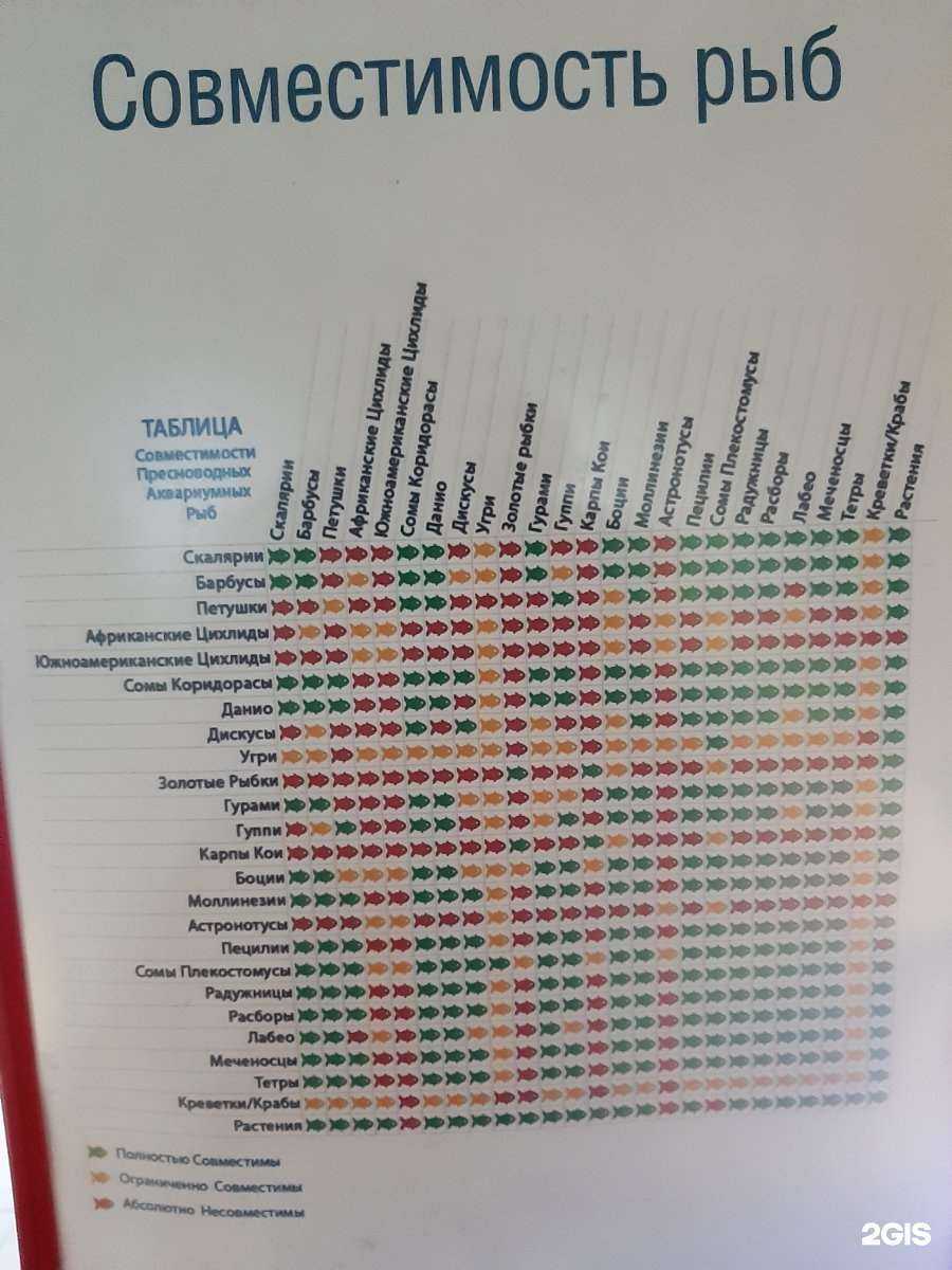 Отзывы на компанию Аквариумный центр в г. Уфа c фото