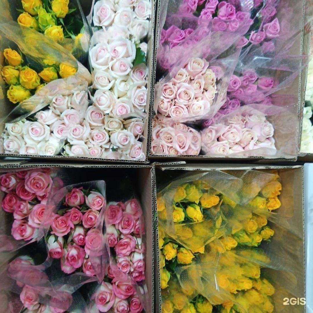 Отзывы на компанию Крокус в Уфе c фото