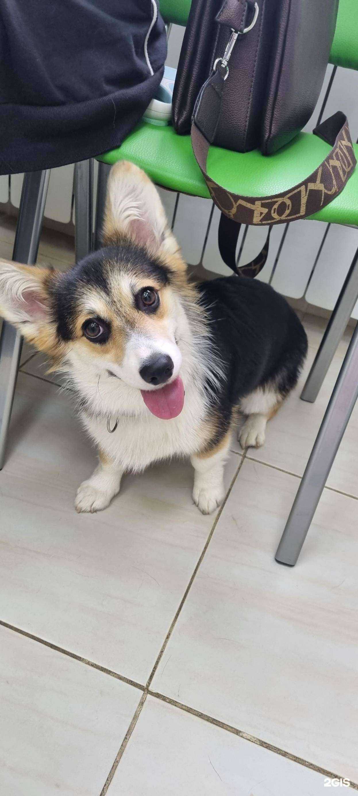 Отзывы на компанию Чип и Дейл в г. Иркутск c фото