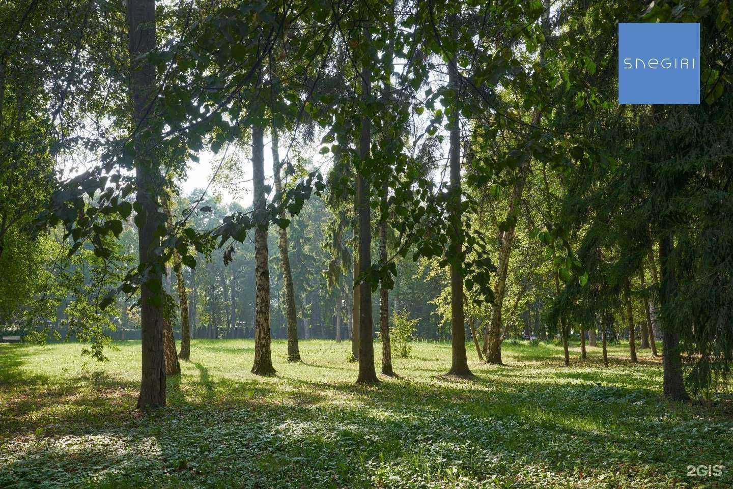 Отзывы на компанию Снегири Девелопмент в г. Красногорск c фото