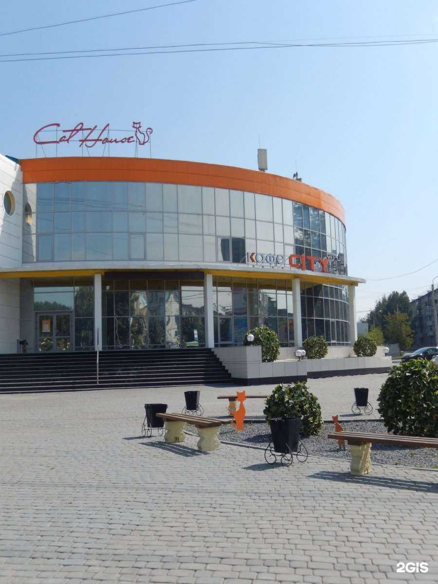 Отзывы на компанию Cat house в Ачинске c фото - фотография 2 из 2